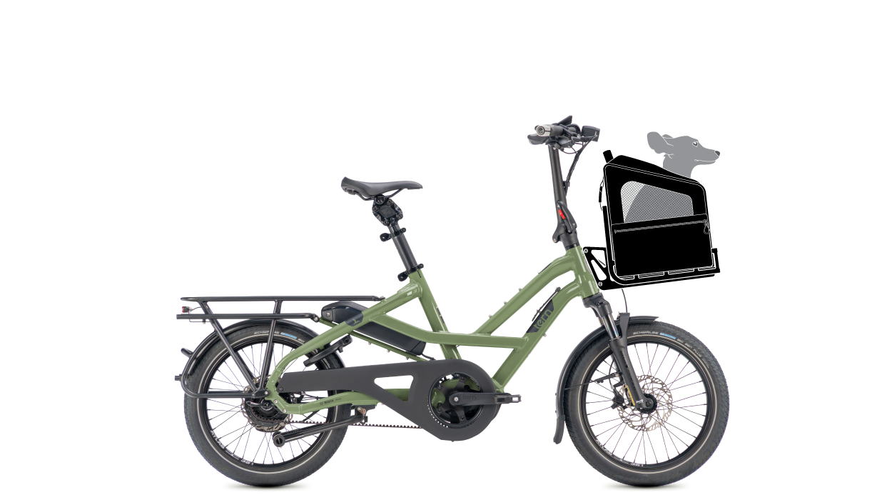 Tern HSD passenger ebike setup for a pet