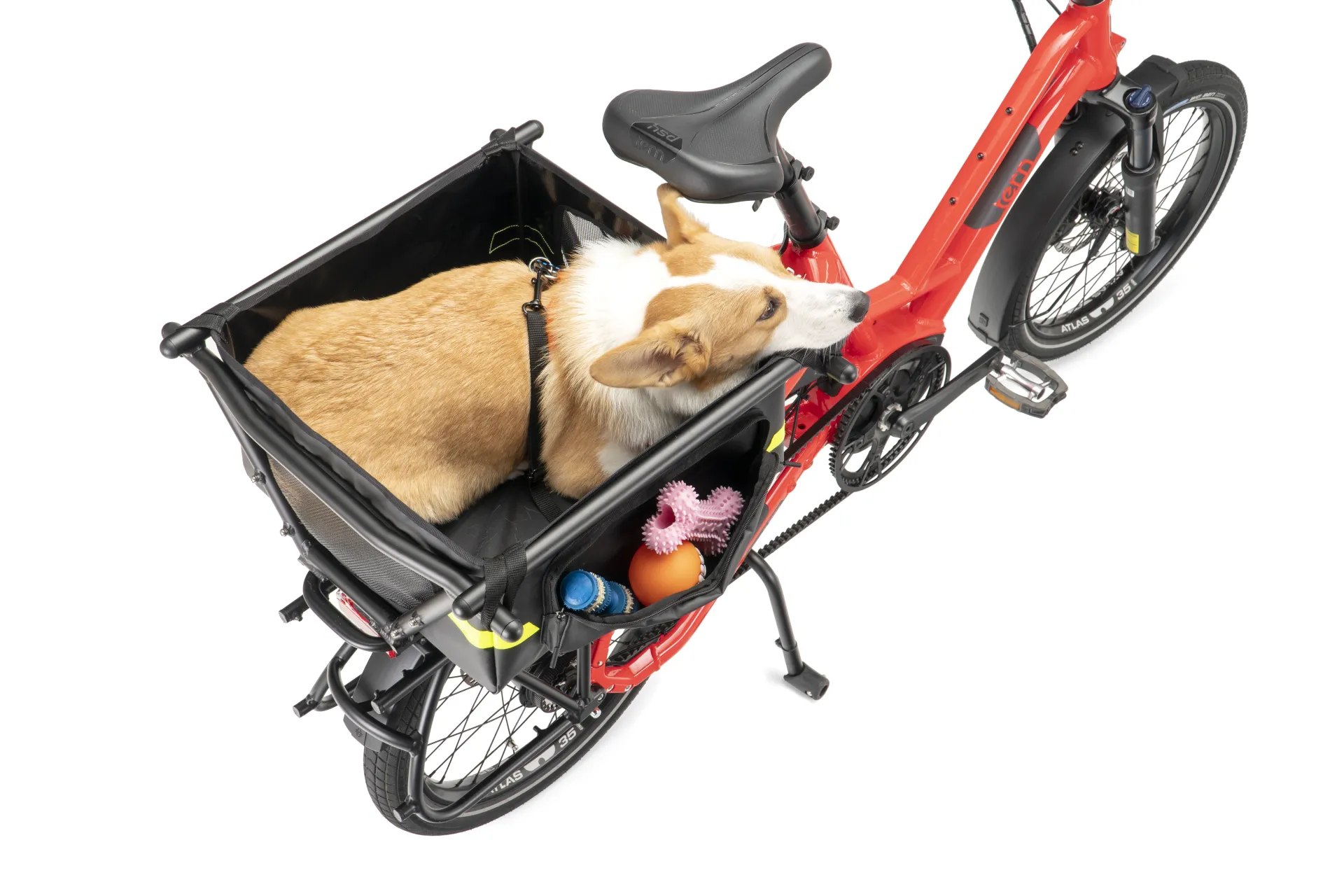 Bike basket for store 30 lb dog