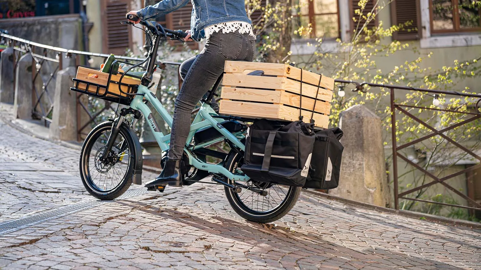 Rear cargo bike online